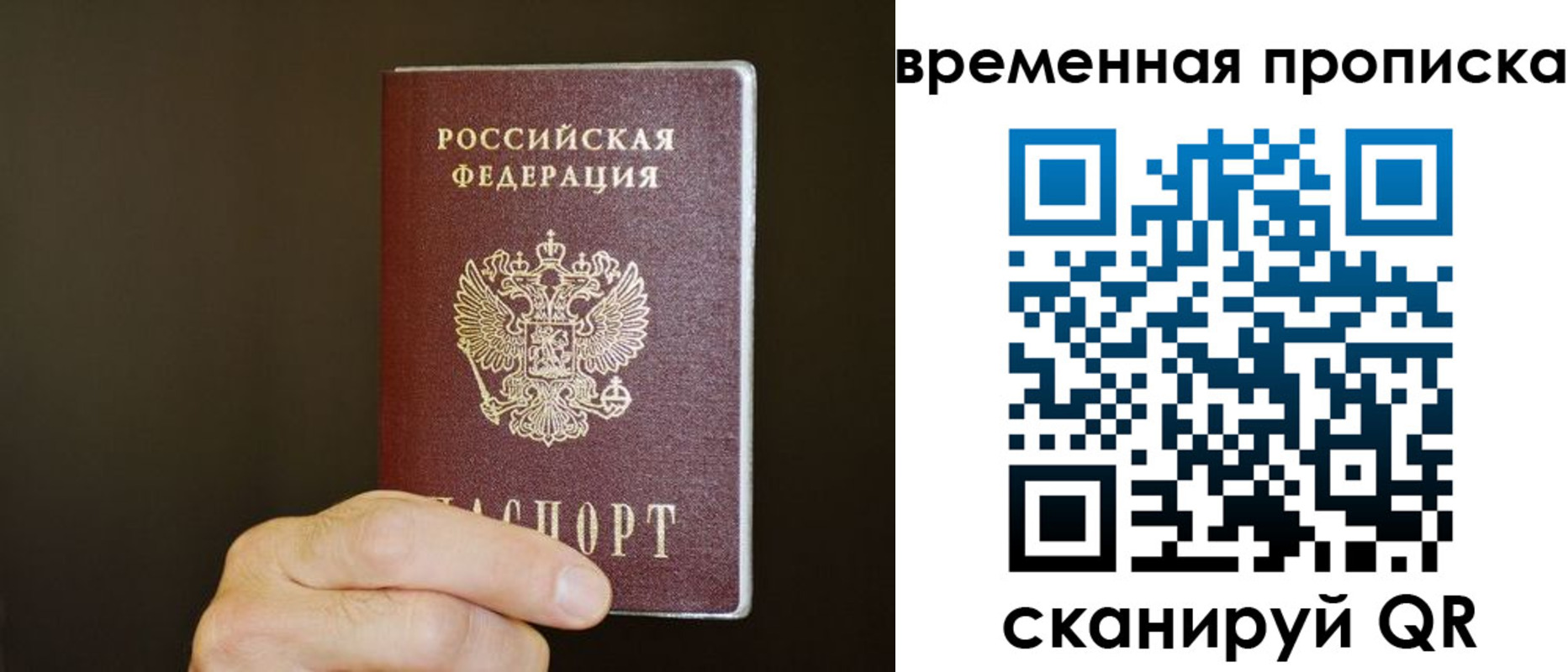 регистрация для школы в Луге